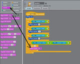 Red Deer Day Camps(Home-Schooled Students)