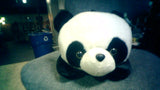 Panda Stuffy #2( 130 tokens)