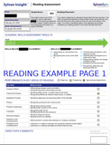 Reading Assessment (Sylvan Insight).